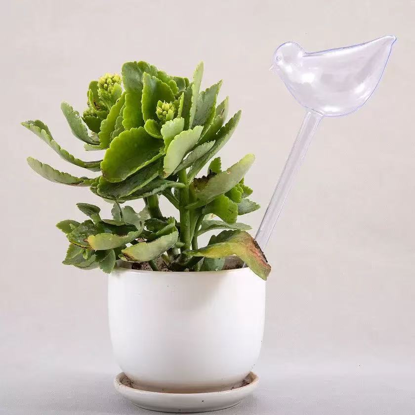 4/8PC Glass Look Automatic Pla - Automatic Plant Watering Spikes Drip Kit 评论和价格