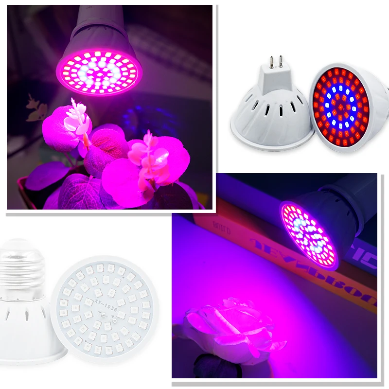 Phyto Lamp Full Spectrum LED G - Plant Grow Light Full Spectrum Clip On 评论和价格