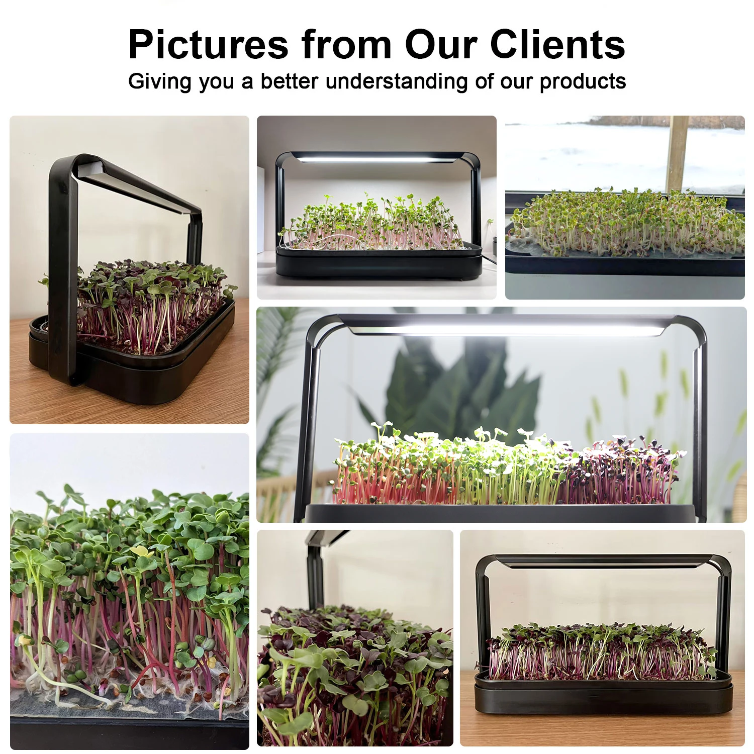 2026 Indoor Home Growing Syste - Indoor Herb Garden Grow Light Smart Kit 评论和价格