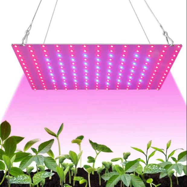 LED Plant Growth Light Full Sp - Plant Grow Light Full Spectrum Clip On 评论和价格