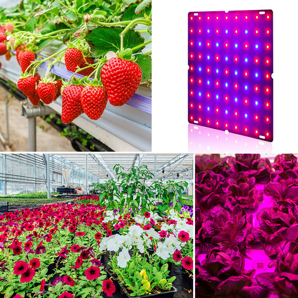 LED Plant Growth Light Full Sp - Plant Grow Light Full Spectrum Clip On 评论和价格
