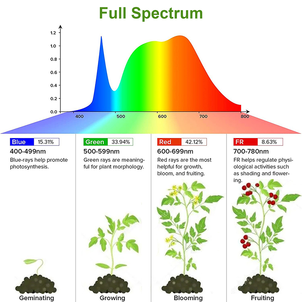 1/2/3/4Head LED Grow Light Str - Plant Grow Light Full Spectrum Clip On 评论和价格