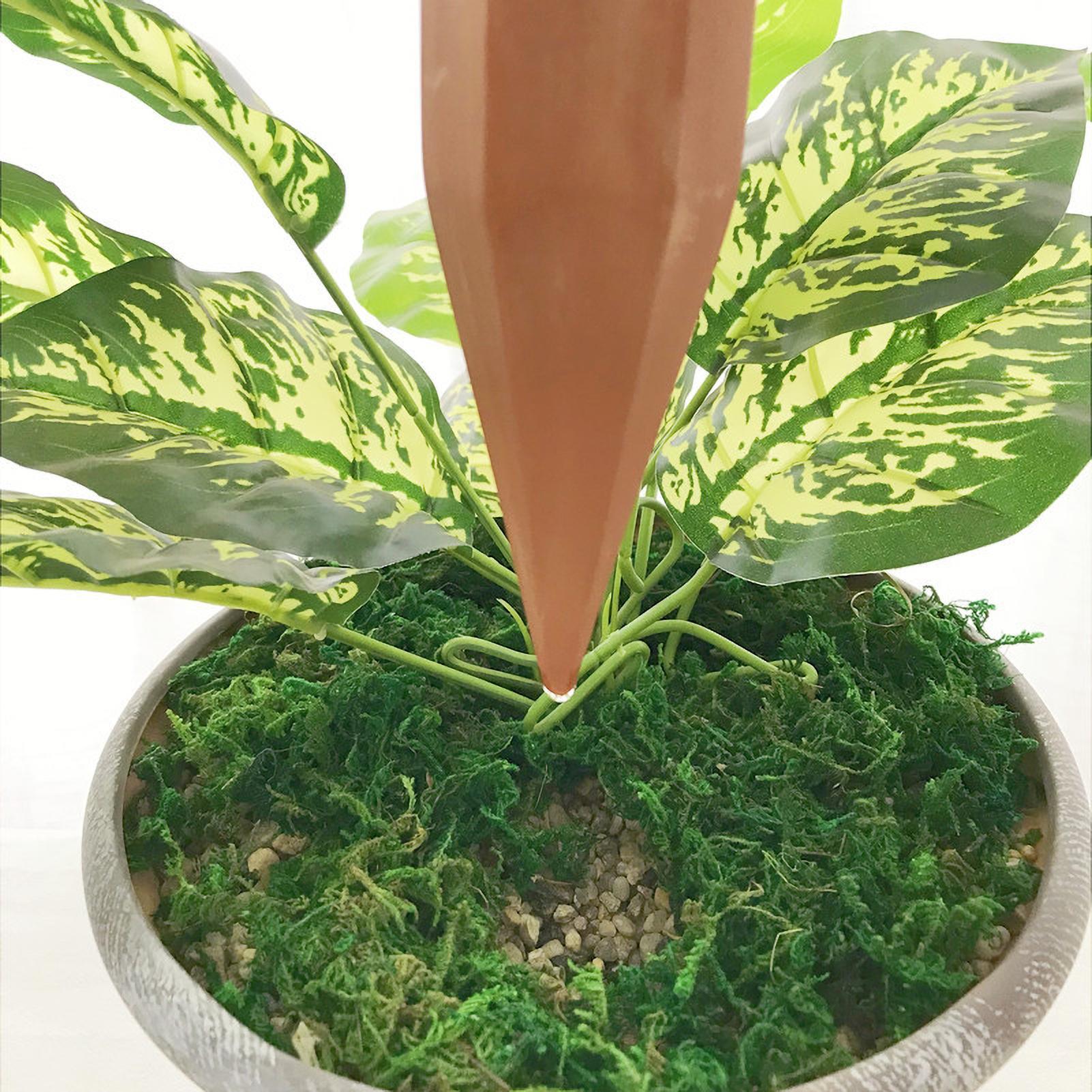 Watering Stakes Vertical Autom - Automatic Plant Watering Spikes Drip Kit 评论和价格