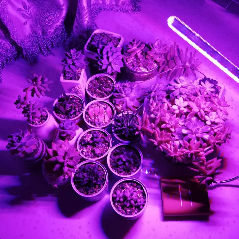 10W Led Grow Light USB Portabl - Plant Grow Light Full Spectrum Clip On 评论和价格