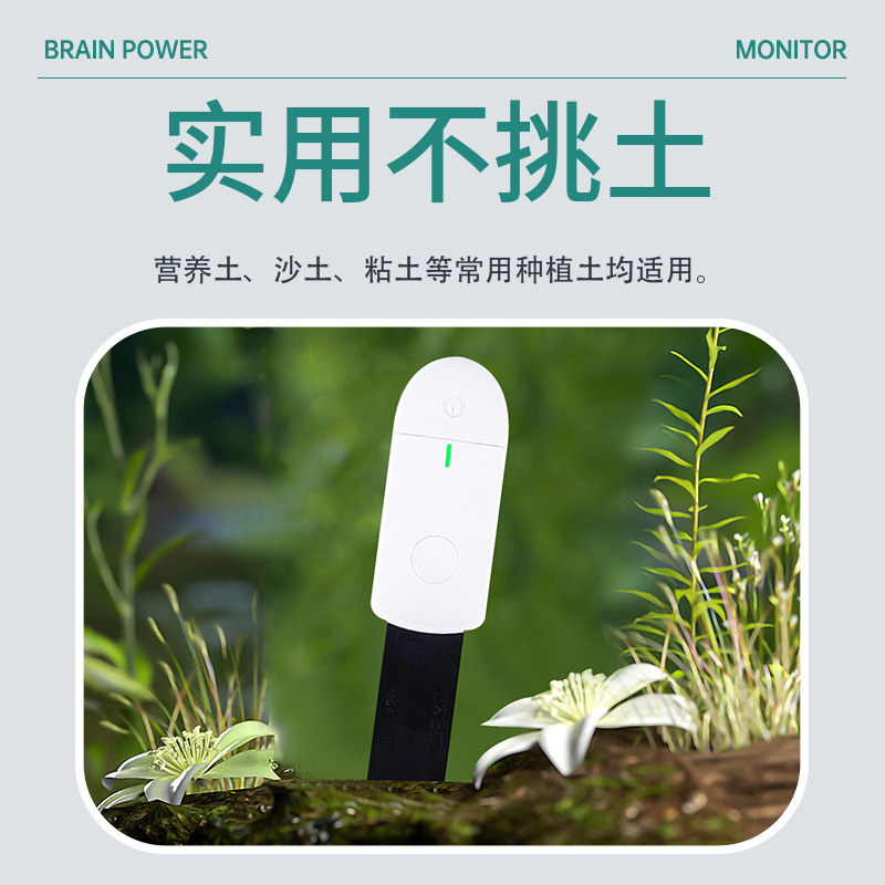 Smart Soil Moisture Meter Mois - Smart Plant Sensor Soil Moisture Meter 评论和价格